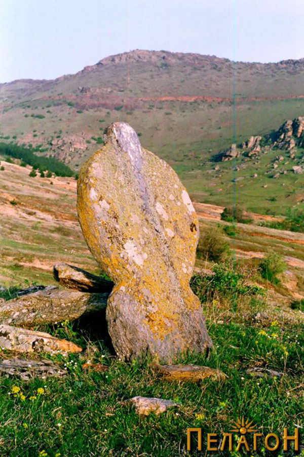 stela-zarid