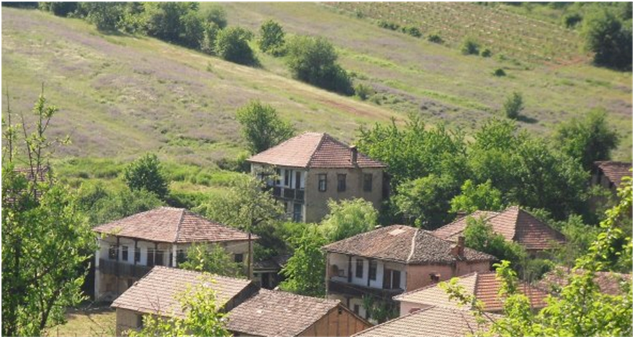 Gorna2