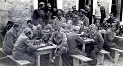 udba-19