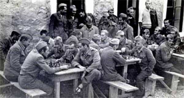 udba-19